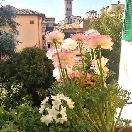 לוקה Bed And Breakfast Evelina מראה חיצוני תמונה