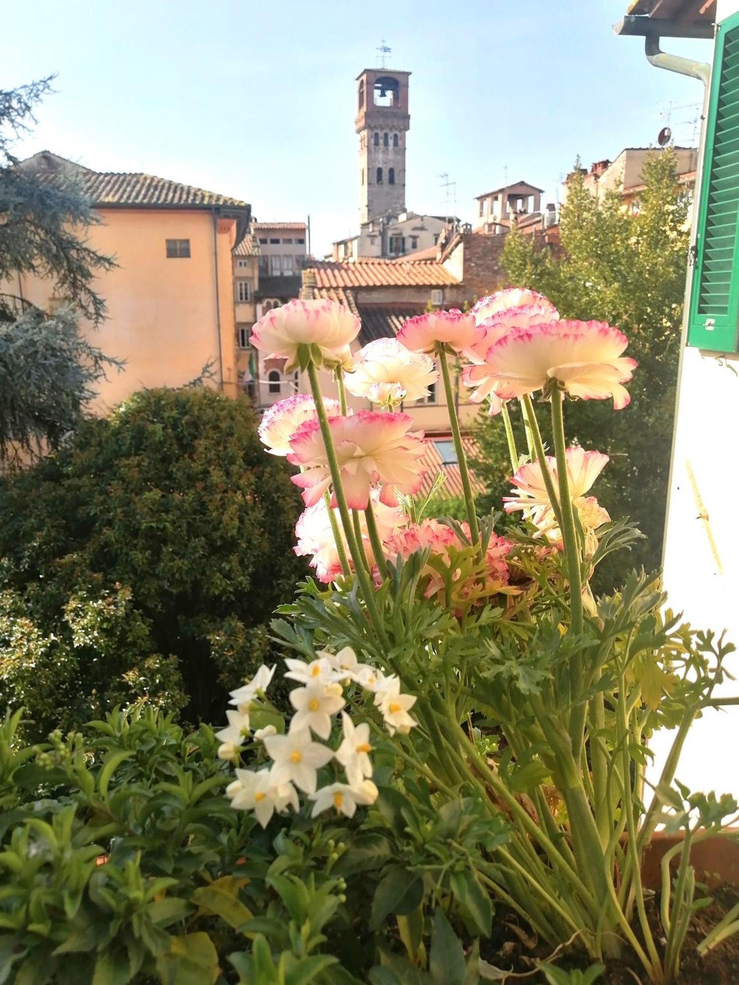 לוקה Bed And Breakfast Evelina מראה חיצוני תמונה